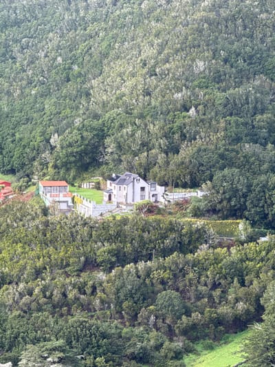 A secluded property nestled within a dense forest. Multiple buildings with varying roof colors (gray, red, and brick) are connected by pathways. A small patch of lawn sits between some of the buildings. The surrounding forest features a mix of light and dark green trees, creating a textured, verdant landscape. The scene appears to be shot from a high vantage point.