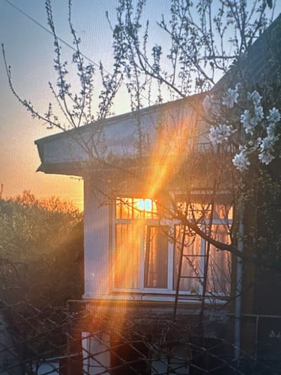 The image depicts a sunlit scene outside a house in Kuvshinovo, Russia. The sun is low in the sky, casting long rays of light that stream through a window and illuminate the interior of the house. The house appears to be a traditional Russian dacha, with a white facade and a sloping roof. Trees and bushes surround the house, some of which are in bloom with white flowers. A wire fence is visible in the foreground, and a ladder leans against the side of the house, suggesting ongoing maintenance or activity. The overall impression is one of a peaceful, rural setting bathed in the warm glow of sunset.