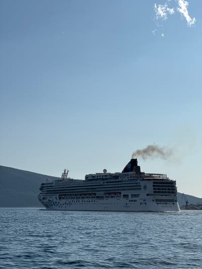 A large cruise ship, the Norwegian Gem, sails on a body of water, likely the Bay of Kotor, near Jošice, Montenegro. The ship is moving from left to right in the frame, with its stern facing the viewer. Dark smoke billows from the ship's funnel, indicating active engine use. The ship has a white hull adorned with a colorful floral pattern and multiple decks filled with visible passengers. In the background, a steep, treeless hillside forms the left edge of the frame, and on the right, a harbor with a large blue crane is visible. The sky is clear and blue, with a small wisp of cloud in the upper right corner. The water is a deep blue with ripples, suggesting a gentle breeze.