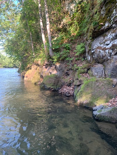 The image shows a natural scene along the bank of a body of water, likely a river. The water is clear, and the bottom is visible in places. Along the right side of the frame is a rocky embankment covered in moss and vegetation, with trees growing from the top of the bank. The lighting suggests it is either early morning or late afternoon, with sunlight illuminating parts of the rocks and trees. There are no people or man-made structures visible in the image. The location is identified as being in the city of Ustinovka, Russia.