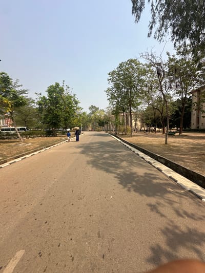 The image displays a wide asphalt road extending into the distance under a clear, light blue sky in Ado-Ekiti, Nigeria. The road surface exhibits minor discolouration and scattered dark spots. Both sides of the road are delineated by concrete curb stones painted alternately white and black, bordering manicured grassy areas. Numerous trees with varying foliage densities line the roadside, casting long shadows across the asphalt from the right. In the middle ground, two individuals are walking away from the camera: an adult in dark blue attire, appearing to carry a light-colored object on their head, and a child in lighter clothing walking slightly ahead and to the left of the adult. Multi-story institutional or residential buildings with light-colored facades are visible through the trees in the background on both sides. A white mini-bus is partially visible, parked on the left side behind some trees. The scene is brightly lit by natural sunlight, indicating daytime.