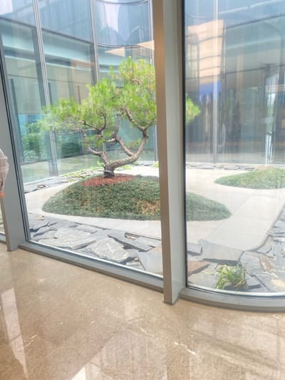 The image shows a view from inside a building, looking out through a large window at an outdoor courtyard. The courtyard is located at the coordinates 30.45 latitude and 120.243 longitude, placing it in the city of Hangzhou, China. The courtyard features a small pine tree in the center, surrounded by a bed of green grass and gravel. The tree has a twisted trunk and branches that spread out towards the sky. The ground around the tree is covered in a layer of reddish-brown mulch. The courtyard also features a pathway made of grey concrete and several patches of green grass. The window is surrounded by a white frame, and the floor inside the building is made of smooth, light-colored tiles. The window is made of glass, and there are reflections of the surrounding environment visible in the glass. The window is curved at the bottom, creating a unique shape.  The image does not show any people.  The image was likely taken during the daytime, as the lighting is bright and there is no sign of overcast conditions.  The image suggests a modern building with a minimalist aesthetic, as the design of the courtyard is simple and the interior of the building appears clean and uncluttered.