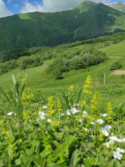 The image depicts a lush green mountainside in Kumlistsikhe, Georgia. In the foreground, out-of-focus wildflowers, predominantly white and yellow, are blooming amongst vibrant green foliage. A dirt path is visible winding through the grassy slopes in the midground, bordered by clusters of trees. In the background, a large, verdant mountain dominates the scene, with a lighter patch of shadow on its slope. Power lines stretch across the mountainside, supported by utility poles. The sky above is partly cloudy with patches of blue visible. The scene is natural and undeveloped, characteristic of a rural mountainous region. There are no people or animals visible in the image.