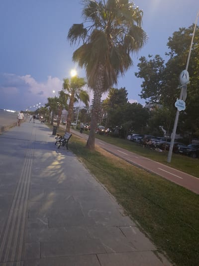 The image depicts a twilight scene on a promenade in Atakum, Turkey, likely near the coast. The sky is a dusky blue with scattered clouds. Palm trees line the promenade, some of which are illuminated by streetlights. A paved walkway, designed with tactile paving for the visually impaired, stretches into the distance. Several people are visible walking along the promenade, some appearing to be strolling.
To the right of the walkway, a grassy area borders a red-colored path, possibly a bicycle or jogging lane. Parked cars are visible in the background, with some people gathered on the grass for what appears to be a picnic or social gathering. A bench is situated on the promenade, and a trash bin is nearby. A sign with Turkish text, "Büyük Baştankara," is mounted on a pole. The overall atmosphere suggests a peaceful evening setting in a public urban space.