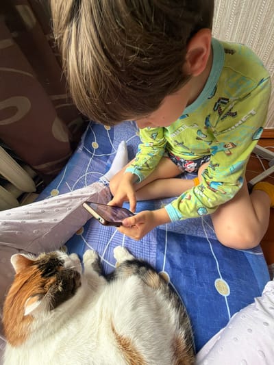 A child in pajamas is kneeling on a blue blanket, holding a smartphone and looking at it. A calico cat is lying next to the child on the blanket, looking up at the child. The child's legs and feet are visible, as is the cat's head and front paws. The background is blurry and appears to be a room with a window and curtains. The scene takes place in a bedroom in the city of Kolychevo, Russia.
