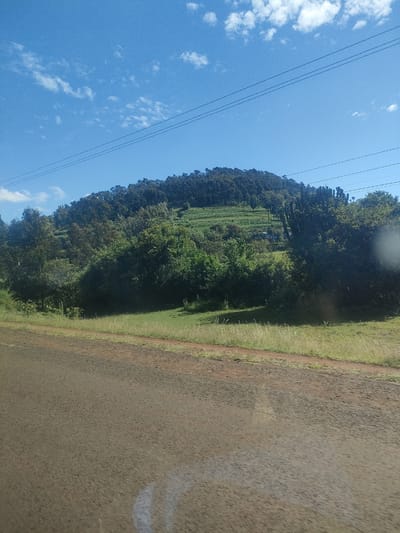 The image shows a view of the landscape in Kibirichia ward, Kenya. A dirt road is in the foreground. Beyond the road, there is a grassy area that leads to a hillside. The hillside is partially covered in dense vegetation, including trees and shrubs. There are also terraced areas on the hillside, possibly used for agriculture. The top of the hill is covered with a dense forest. In the background, the sky is blue with scattered clouds. Power lines stretch across the upper part of the image. No people are visible.