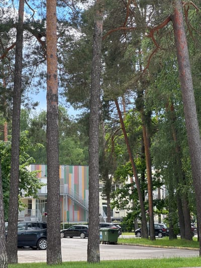The image captures a section of the city of Olaine, Latvia. In the foreground, several tall pine trees with textured bark and sparse branches dominate the scene, obscuring a portion of the background. To the left, a dark-colored SUV is parked on an asphalt surface. Adjacent to it, a building with a colorful facade, featuring vertical stripes of pink, yellow, green, and white, is visible. An external metal staircase leads to an entrance on the building's second level. Further to the right, another dark-colored car is parked alongside the building. A green dumpster with wheels is situated on the edge of the road. The environment is characterized by a paved area, green grass in the immediate foreground, and lush green trees and foliage in the background, under a bright, partly cloudy sky.