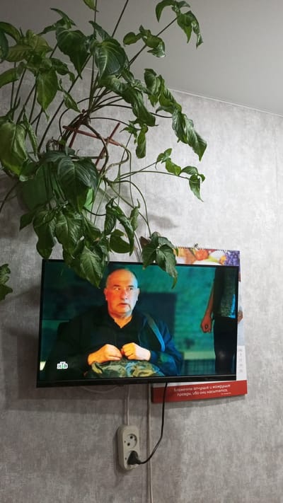 The image shows an indoor scene with a television mounted on a grey, textured wall. A large, leafy green plant hangs from above, partially obscuring the top of the television. The television displays a man wearing a dark shirt, looking to his left with a serious expression. He appears to be holding a dark bag or object in his lap. A portion of another person's arm and torso is visible on the right side of the television screen. Below the television, a red rectangular object with white text is attached to the wall. A white electrical outlet with a black plug inserted is located on the wall below the television. The overall environment suggests a residential or office setting. The location is identified as Sayansk, Russia.