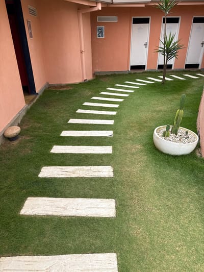 An eye-level perspective of a grassy yard, featuring a winding pathway made of rectangular white stepping stones. To the left, a peach-colored building with three white doors and a yucca tree between them. A white, circular planter containing a cactus sits amidst the green grass. A round stone sits on the lawn beside the path.