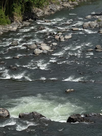 This image captures a detailed view of the Melangit River in Klungkung, Indonesia. The river flows with a rapid current, indicated by the numerous white rapids and swirling patterns in the dark water. The riverbed is strewn with a multitude of gray and dark rocks, ranging in size from small pebbles to large boulders. Lush green vegetation lines the left bank of the river, with trees and thick foliage creating a natural backdrop. The water itself has a deep, dark color, with areas of lighter, churning white water where it flows over the rocks. In the lower part of the image, a prominent section of light green, turbulent water is visible, suggesting a more intense rapid or a small waterfall. The overall scene depicts a natural, untamed river environment within the Klungkung region.