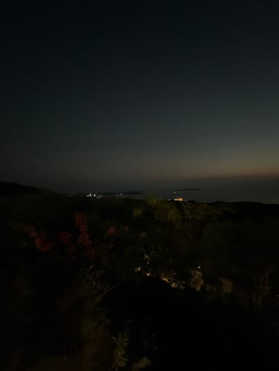 The image captures a dimly lit nighttime landscape, possibly from a vantage point overlooking a body of water. In the foreground, dark foliage and some reddish flowers are visible, hinting at a natural environment. In the distance, a faint line of lights suggests a town or city on the coast. The sky is a deep, dark hue, with a subtle gradient of lighter tones near the horizon, indicating either twilight or light pollution. The overall atmosphere is serene and somewhat mysterious due to the low light conditions. The reference to Karimunjawa, Indonesia, suggests this could be a view of the island's coastline at night, possibly from a hill or elevated area, with the distant lights representing the town or other settlements.