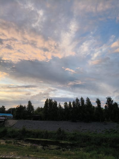 A wide-angle, full-shot photograph captures a serene, overcast sky above a tree-lined embankment and a dark body of water in Petrovsk, Russia. The sky is a blend of pale pinks, grays, and blues, with wispy clouds scattered across the expanse. The sun appears to be setting or rising, casting a soft, diffused light.
Dominating the middle ground is a dense line of dark green trees, their silhouettes sharp against the lighter sky. Below the trees, a steep, gray embankment is visible, constructed from what appears to be stone or concrete blocks, likely serving as a retaining wall. A narrow, dark body of water, possibly a river or canal, flows in the foreground, its surface reflecting the muted colors of the sky. The banks of the water are overgrown with lush green grass and vegetation.
On the far left of the frame, a section of a bridge and a small, light blue building with white trim are partially visible, suggesting a developed area or a recreational facility. A dark, gazebo-like structure is nestled among the trees on the embankment, further indicating a park or public space. No people are visible in the scene, and no specific actions are taking place. The overall impression is one of tranquility and natural beauty, with a hint of human presence.