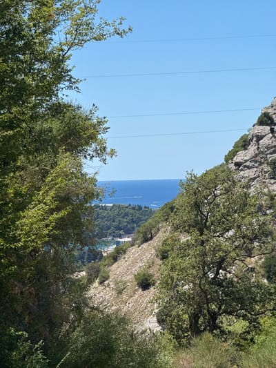 The image shows a scenic view from a hillside overlooking the Adriatic Sea in the vicinity of Čučuci, Montenegro. Dense green foliage, including trees and bushes, dominates the foreground and frames the view. A rocky, dry slope with sparse vegetation is visible on the right side. In the middle ground, there is a lush green hillside with scattered trees, leading down to a coastal area. The coastline is dotted with buildings and vegetation. The turquoise sea stretches to the horizon under a clear blue sky. Several small boats are visible on the water. Power lines are faintly visible stretching across the sky. The scene appears to be a natural landscape with a settled coastal area in the distance.