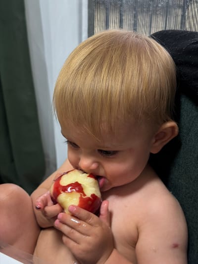 The image shows a close-up, sideways view of a young child with blonde hair eating a piece of fruit. The child is looking down and to the right, with their mouth around the fruit, which appears to be a nectarine or peach due to its red and yellow coloring and visible flesh. The child's hands are holding the fruit, and one hand is visible near their mouth.
The child is wearing dark clothing around their shoulders and upper back. The background is blurred, but suggests an indoor setting with a horizontally striped surface and a dark green textured surface. The lighting appears to be natural, possibly from a window, illuminating the child's face and hair. There are no visible signs of text. The overall impression is one of a candid moment of a child enjoying a snack.