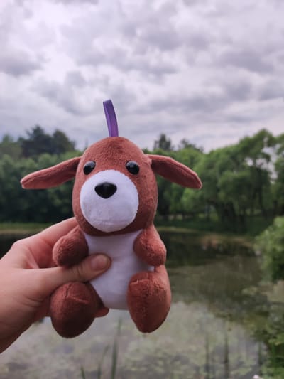 A brown plush dog toy with a white muzzle and black eyes is held in a person's hand. The toy has floppy ears and a purple ribbon attached to the top of its head. The background is a blurry landscape with green trees and a body of water, likely a pond or lake. The sky is overcast with gray clouds. The image was taken outdoors, possibly in a park or natural area. The location is in Alabino, Russia.