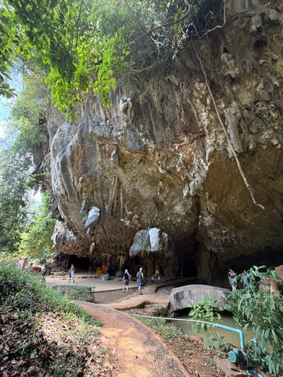 The image displays a daylight scene at a cave entrance in Phang-nga, Thailand. A massive, weathered limestone cliff face forms the upper and central portion of the frame, featuring vertical striations, stalactite formations, and varying rock textures. Dense green foliage and tree branches overhang from the top and left, with several vines extending down the cliff face.

A curved, reddish-brown, aggregate pathway leads from the lower left towards a flat, paved area at the base of the cliff, which transitions into a large cave opening. Seven individuals are present. In the central foreground, two people walk towards the cave on the paved ground: one individual in white shorts and a dark cap, and another in dark shorts and a white shirt with a dark cap. A third person, in dark shorts and a light shirt with a light cap, walks away from the cave. On the far left, a person is seated on a red structure partially obscured by vegetation, with another individual standing further within the cave's immediate entrance. On the right, three people are positioned near a murky body of water, partially covered by a concrete structure. One individual, wearing dark clothing, holds a device as if photographing. A light blue PVC pipe and an electric water pump are visible at the water's edge.

Inside the initial, illuminated section of the cave, several golden Buddhist statues are visible on altars, adorned with colorful offerings and fabric hangings from the cave ceiling. The cave recedes into darkness beyond this immediate area. A red sign with white text is partially visible on the far left. The ground consists of paved sections, bare earth, and leaf litter.