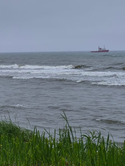 A distant red and white ship sails on a choppy, grey sea under an overcast sky. The water is dark and appears to be in motion with white caps on the waves. In the foreground, green grass and reeds grow along the shoreline, obscuring the lower portion of the image. The scene is located in Uglegorsk, Russia.