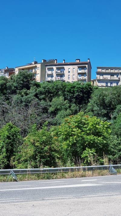 The image shows a clear blue sky above a wooded hillside in Castellfollit de la Roca, Spain. On top of the hill, several multi-story apartment buildings are visible, with balconies and windows. The buildings are of various designs and colors, mostly cream and beige. A dense green forest covers the slope below the buildings. In the foreground, a section of an asphalt road is visible, with white lane markings. A metal guardrail runs along the edge of the road, separating it from the hillside. There are no people or animals in the image.