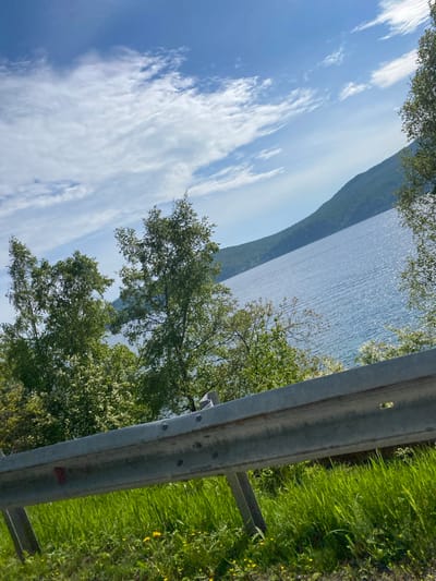 A wide-angle outdoor shot captures a serene landscape with a focus on a body of water and a mountainous backdrop. The sky is a vibrant blue with scattered white clouds. In the foreground, a metallic guardrail runs horizontally across the frame, supported by vertical posts. Lush green grass, dotted with yellow wildflowers, grows beneath and behind the guardrail. Several trees with green foliage are situated between the guardrail and the water. The water itself, appearing as a lake or a wide river, is a deep blue and reflects the sunlight, creating a shimmering effect. In the distance, a large, tree-covered mountain slope rises from the far bank of the water, its peak obscured by the angle of the shot. The scene appears to be a scenic overlook or roadside view, possibly near the city of Nikola in Russia, given the characteristic mountainous terrain and expansive water bodies often found in such regions.