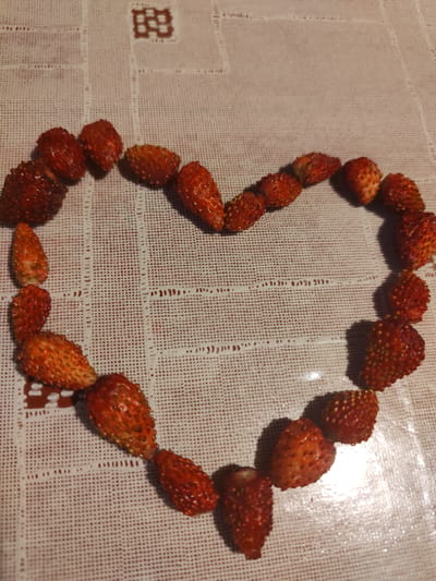 The image displays a heart shape formed by numerous small, ripe strawberries arranged on a white, textured tablecloth. The tablecloth has a pattern of small dots and some embroidered details at the top center. The strawberries are a deep red color with visible seeds. The lighting casts shadows from the strawberries onto the tablecloth, indicating an overhead light source. There are no people or animals present in the image. The scene appears to be indoors, likely on a table. The location in Olenino, Russia, is not discernible from the visual information provided in the image.