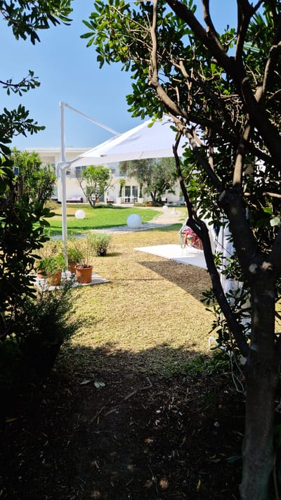 This image depicts a sunny outdoor courtyard in Maruggio, Italy. In the foreground, a large tree with dark bark and green leaves partially obscures the view. To the left, there are several potted plants on a stone base. A white cantilever umbrella provides shade over a section of the courtyard, which features a well-maintained lawn and gravel paths. In the background, a modern white building with balconies and windows is visible, surrounded by lush greenery, including trees and bushes. Two large, white spherical decorative objects are placed on the lawn. A white outdoor rug or mat is laid out in a section of the courtyard, with a bicycle parked on it. The overall scene suggests a tranquil and well-kept outdoor living space.