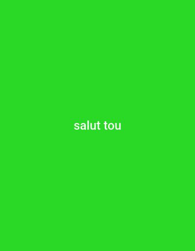 The image shows the words "salut tou" in white text against a bright green background. The text is centered horizontally and positioned in the lower half of the image. There are no people, objects, or environmental details visible. The image does not provide any information about the city of Charleville-Mézières, France.