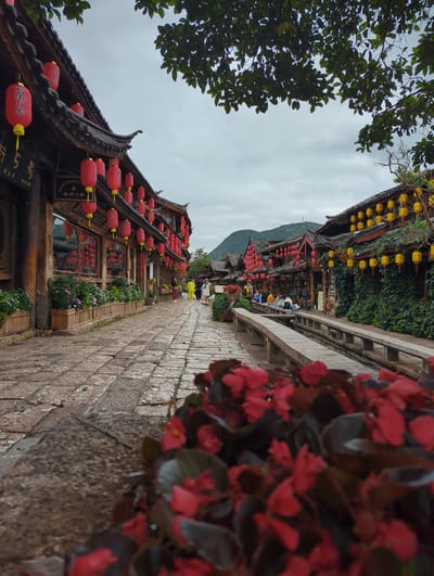 The image depicts a narrow street in Gucheng District, China, lined with traditional architecture and adorned with numerous red and yellow lanterns. The street is paved with cobblestones, and a stone channel with a low bridge runs alongside one side. Greenery, including potted plants and ivy-covered walls, is prevalent. In the foreground, out-of-focus red flowers dominate. Several people are visible in the mid-ground, some walking and others seated along the channel. The buildings feature dark wooden structures with tiled roofs, typical of ancient Chinese towns. The sky is overcast, suggesting a cloudy day. The scene conveys a sense of historic charm and cultural vibrancy.