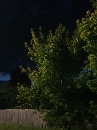 The image depicts an outdoor scene at night, likely in the city of Savino, Russia, featuring trees in the foreground and a wooden fence at the bottom. The sky is dark, with some hints of clouds. The trees are illuminated, with some branches and leaves appearing bright green due to the lighting, while other areas are in shadow, appearing dark green and black. A simple wooden fence, constructed from vertical planks, runs horizontally across the lower portion of the image. The ground in front of the fence is covered with grass, which is also dimly lit. The overall impression is of a quiet, natural setting at night, possibly a backyard or a park area.
