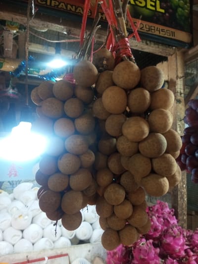 The image displays a fruit stall located in Lê Thanh Nghị Ward, Vietnam. In the foreground, two large bunches of longan fruit hang from overhead structures, secured by red ties to wooden stems. The longans are spherical, light brown, and have textured skin. To the immediate right, a cluster of dark red grapes is partially visible, also suspended. Below and to the right of the longans, a substantial pile of vibrant pink dragon fruits is arranged on a surface. In the background to the left, a bright, glowing white light source illuminates a display of individually wrapped white coconuts, encased in mesh netting. Above these coconuts, a sign displaying a red Chinese character (金) is partially visible. The upper background features a wooden beam structure, blue tinsel decoration, and a partially visible dark banner with white text, including "CIPANAS," "ASEL," and the phone number "29845611." No individuals are present in the frame.
