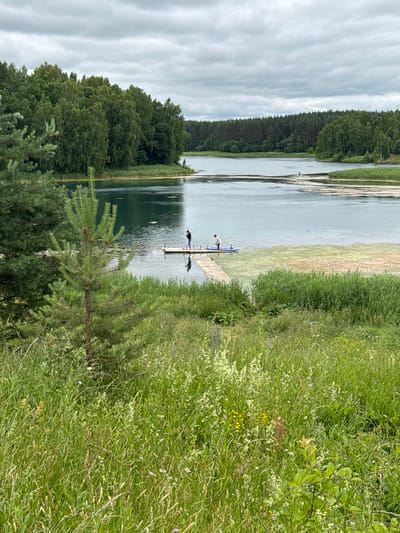 The image captures a serene, overcast day at a lake in Grudtsino, Russia, with lush green vegetation in the foreground and a dense forest bordering the water. In the middle ground, a wooden pier extends into the lake, where two individuals are present. One person, wearing a dark jacket and pants, stands near the end of the pier, seemingly engaged with an object on the water. Another person, in lighter clothing, is positioned on a blue paddleboard tethered to the pier. The water exhibits a calm surface with some areas of aquatic vegetation. The sky is filled with heavy, gray clouds, contributing to the diffused lighting of the scene. The immediate foreground is dominated by a variety of tall grasses and wildflowers, with a young pine tree partially obscuring the view of the lake. The background features a layered expanse of trees, creating a sense of depth and a natural, undisturbed landscape.