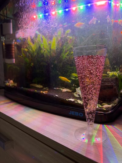 In the city of Central, Russia, a tall, clear plastic glass filled with a pink, bubbly beverage stands on a wooden surface in the foreground. The glass has a conical shape, tapering to a thin stem and a wide, flat circular base. The beverage inside is effervescent, filled with numerous small bubbles that catch the light. Behind the glass, an aquarium is visible. The aquarium contains a dark substrate at the bottom, with various green aquatic plants, and at least one small yellow fish swimming. The aquarium is illuminated from above by a string of colorful LED lights, casting streaks of red, green, and blue light onto the wooden surface and the glass. The aquarium itself has a black trim with the word "JEBO" subtly visible on the front. The overall scene suggests a dimly lit, possibly celebratory or relaxed setting, with the aquarium lights and the bubbly drink creating a festive atmosphere.