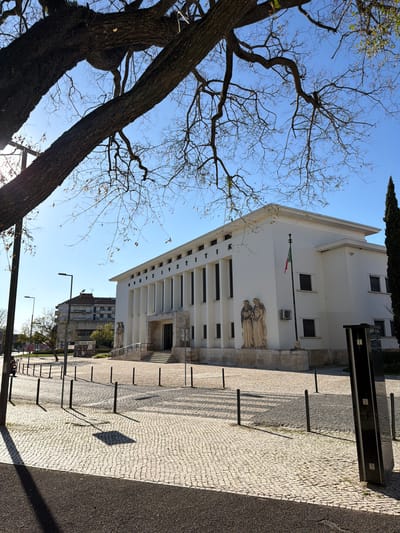 Here's a detailed description of the image:
**Overview:** The image depicts a building in Santarém, Portugal, framed by the bare branches of a large tree. The photograph is taken from a low angle, emphasizing the height and perspective of the architecture.
**Building:** The building appears to be a public or institutional structure. It is white with a classical or neo-classical facade, featuring columns, a flat roofline, and minimal ornamentation. Statues adorn the upper facade, and a flag is visible near the top of the building.
**Environment:** The foreground is dominated by a patterned stone pathway, likely cobblestone or similar, running alongside the building. Regularly spaced metal bollards are placed between the building and the walkway. Beyond the building, other structures and trees can be seen, suggesting an urban setting. The sky is clear and blue.
**Tree:** A large, bare tree occupies a significant portion of the left side of the frame. Its branches reach towards the sky, creating a stark contrast against the building and the blue sky.
**City Information:** The location is the Instituto Politécnico de Santarém (IPSantarém) in Santarém, Portugal.