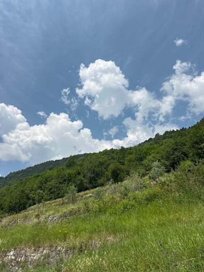 The image depicts a sun-drenched outdoor scene, likely in Ossimo Inferiore, Italy. The composition is dominated by a lush green hillside that rises diagonally from the lower right to the upper left of the frame. The hillside is covered in dense vegetation, primarily trees and grass, with a clear division between the forested area and a grassy slope. A rough stone wall or rocky outcrop runs along the base of the hillside, separating it from the grassy area. The grassy area appears to be a meadow, with tall grasses and scattered wildflowers, including some small purple flowers and yellow blooms.

Above the hillside, a vast expanse of blue sky stretches across the left side of the image. Scattered across the sky are fluffy white cumulus clouds, some appearing large and billowy, while others are wispy and thin. The sunlight suggests it is daytime, likely a clear and pleasant day. There are no people or man-made objects clearly visible in the scene, focusing the viewer's attention on the natural landscape. The overall impression is one of a peaceful and verdant natural environment.