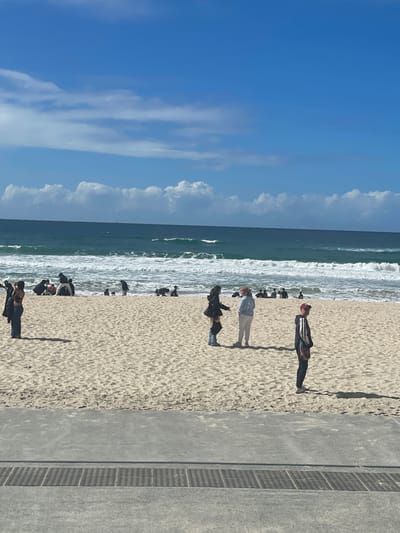 The image depicts a bright, sunny day at a beach, likely in the city of Gold Coast, Australia, given the context of the provided crops. The scene is divided into three main horizontal sections: the sky, the ocean, and the beach.

The sky is a vibrant, clear blue with scattered, fluffy white clouds, suggesting fair weather. The ocean is a deep turquoise with white-capped waves rolling towards the shore, indicating moderate surf. A faint silhouette of a distant boat can be seen on the horizon.

The foreground features a sandy beach populated by a number of people. In the middle ground, there are several individuals and small groups scattered across the sand. To the left, a woman in a dark jacket and jeans stands facing away from the camera. Further back, a group of people are seated or lying on the sand near the water's edge. In the center of the beach, two women are talking, one wearing a light blue hooded sweatshirt and the other a dark jacket. To their right, a person in a dark jacket and a red cap stands facing the ocean. Other individuals are dispersed across the beach, some walking and some seemingly observing the ocean.

The immediate foreground shows a concrete pathway with a metal grate, typical of a beachfront promenade or walkway. The sand itself appears well-trodden, with footprints visible. The overall impression is of a lively, public beach on a pleasant day.