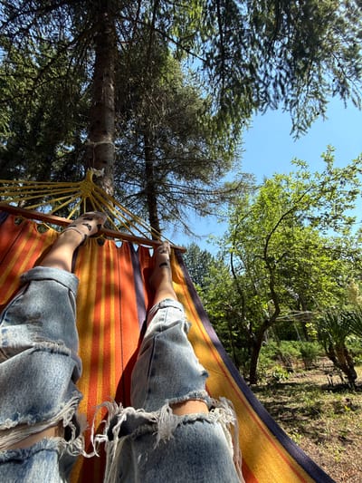 The image depicts a person lying in a hammock outdoors, likely in a yard or garden. The hammock is brightly colored with orange, yellow, and blue stripes. The person's legs are visible, clad in ripped denim jeans. They are wearing light-colored socks with a dark pattern. The hammock is suspended between two trees, with one tree trunk clearly visible in the foreground and another in the background. The surrounding environment consists of lush green trees and foliage under a clear blue sky. The scene suggests a relaxed, summery atmosphere. The location is identified as Tsatsarovtsi, Bulgaria.