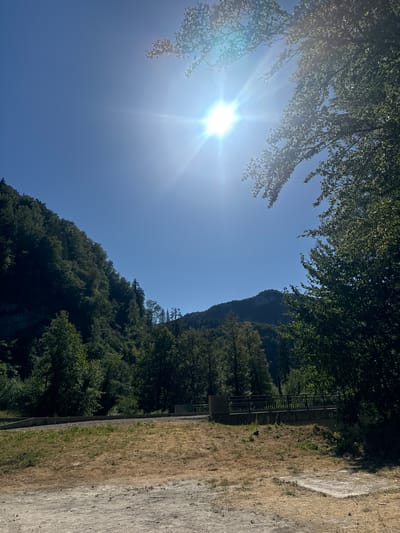 The image captures a sun-drenched, natural landscape. The bright sun, with visible rays and lens flare, dominates the upper right quadrant of the sky, which is a clear, vibrant blue. Lush green trees fill the right and mid-ground, with some branches and leaves framing the sun. To the left, a dense, dark green forest covers a steep hillside that rises towards the sky. A dark, narrow path or road runs horizontally across the lower mid-ground, bordered by a concrete barrier and a metal railing. The ground in the foreground is a mix of dry, light brown grass and bare, light-colored earth. The overall impression is one of a serene, outdoor setting on a sunny day. There is no indication of L'Essard, France, or any specific urban elements within the image.