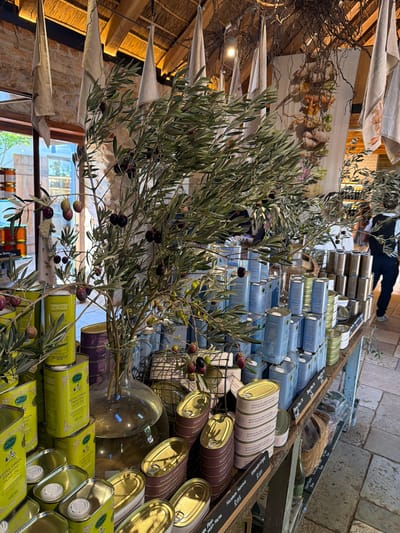 This image, rotated clockwise, captures a vibrant and rustic indoor market or specialty food store, likely selling olive-related products.

In the foreground and midground, lush olive branches laden with both green and dark purple ripe olives are prominently displayed, some appearing to be arranged in a clear glass vase. The main subjects are numerous cans and rectangular tins of various olive products, neatly stacked on display tables. Many green rectangular tins are visible, clearly labeled "SA OLIVE EXTRA VIRGIN FRANTOIO OLIVE OIL 500 ml." Other light blue/grey rectangular tins are stacked in rows. Cylindrical and rectangular tins with gold tops feature products such as "KALAMATA OLIVES," "KALAMATA CAPER," and "NOCELLARA HUMMUS." Specific labels also indicate "WHOLE KALAMATA OLIVES WITH ROSEMARY AND BAY LEAVES."

Black wooden planks serve as price tags, displaying product names and prices in South African Rands (R). Visible prices include "Kalamata Hapar R120," "Nocellara Hummus R155," and "Wicker Basket R1300." A wicker basket is also seen among the displays.

In the background, a person is partially visible, standing in dark pants and a lighter top. The setting features a rustic aesthetic with a textured, possibly woven or thatched, ceiling. Draped fabric banners, some adorned with prints like carrots or other vegetables, hang from above. Stone or brick walls are also discernible. Bright lighting, possibly from a window visible in the background, suggests it is daytime. The currency marks the location as South Africa, consistent with the provided context of Drakenstein Nu.