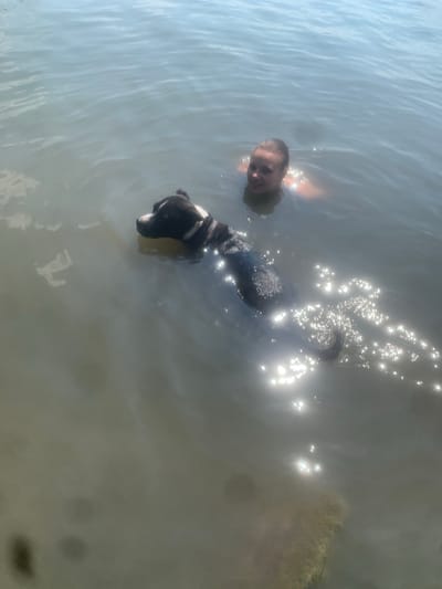 The image shows a person and a dog in the water. The person, who appears to be a young female with blonde hair, is partially submerged, with her head and shoulders visible above the surface. She is looking towards the camera with a slight smile. The dog, a black and white pit bull type breed, is swimming beside her, its head and upper body visible. The dog is wearing a white harness. The water is calm with some dappled sunlight reflecting on the surface, suggesting it is daytime, likely sunny. The background is indistinct, showing only the water and reflections. The scene appears to be a casual moment of swimming or playing in a body of water. The location is identified as Kosy, Ukraine.