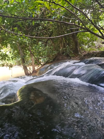 The image depicts a natural scene with a waterfall flowing over rocks, surrounded by lush green foliage. The water appears murky brown, suggesting it might be from a river or stream. Trees with dense green leaves line the upper part of the image, with some branches extending over the water. The rocks in the foreground are dark and appear wet from the cascading water. The setting is clearly outdoors, in a natural environment, consistent with the description of Tambon Khlong Thom Nuea, Thailand, known for its natural attractions. There are no people or man-made structures visible in the frame. The overall impression is one of a tranquil, undeveloped natural landscape.