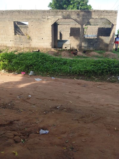 This is a full-shot, medium-distance, eye-level, outdoor photograph of an unfinished concrete building on a dusty, dirt path in Gulum, Nigeria. The building, constructed from grey concrete blocks, appears to be a rectangular structure with open doorways and window frames. The roof is incomplete, and some corrugated metal sheeting is visible near one of the entrances. Lush green vegetation grows in front of the building, forming a dense line that separates it from the dirt path in the foreground. Several chickens, including a rooster, are present in the vegetation and on mounds of dirt near the building. A person in a red, white, and blue shirt and grey pants walks away from the building on the right side of the frame. The dirt path in the foreground is littered with various pieces of trash, including plastic bags and wrappers. The background features trees and a bright sky. The lighting suggests it is daytime.