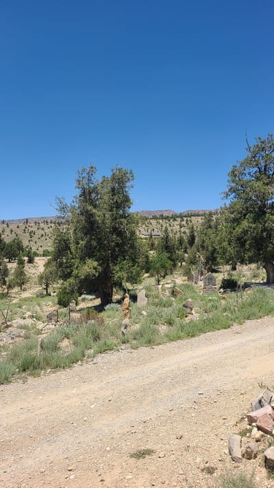 The image shows a dirt road in Ziarat, Pakistan, with a clear blue sky. The road is bordered by green grass and vegetation on the left, leading to a mountainous region with sparse vegetation. On the right side of the road, there is a rocky patch with some stones. In the distance, there are scattered trees and what appear to be graves.