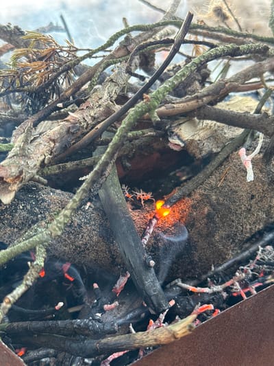 The image depicts a close-up view of a small, smoldering fire within a metal container, possibly a fire pit. The fire consists of dry branches and twigs, some of which are actively burning with orange embers and a faint wisp of smoke. The background appears to be sand or soil, with glimpses of green mossy branches and dry, brown pine needles. The scene is set outdoors, with a hazy, overcast sky visible in the upper portion of the image. There are no people or animals visible. The context of Chernaya Lakhta, Russia, is not visually evident in the provided image.