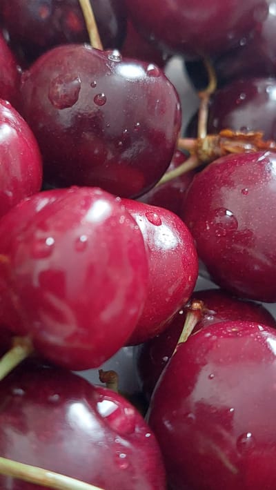 This is a close-up, macro photograph of a cluster of dark red cherries, many of which are glistening with water droplets. The cherries are plump and round, with a deep, rich color. The lighting highlights the smooth, shiny skin of the fruit and the translucent quality of the water droplets. Some of the cherries are attached to thin, light brown stems. The background is blurred and dark, focusing all attention on the texture and detail of the cherries. The image is a still life, focusing on the natural beauty of the fruit. There are no people or any indication of a city or specific location.