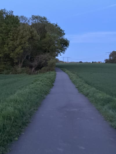 The image, taken at dusk or dawn in Gometz-le-Châtel, France, presents a serene outdoor scene featuring a paved path winding through a natural landscape. A dark gray, narrow path, likely a walking or cycling trail, curves gently from the foreground towards the distant horizon on the right side of the frame.
The path is bordered by vibrant green grass. On the left, a line of dense, dark green trees with visible branches creates a natural barrier, partially obscuring the view beyond. To the right of the path, an expansive grassy field stretches out. The sky above is a clear, deep blue, characteristic of twilight hours, casting a soft, subdued light over the entire scene.
In the mid-ground and background, faint outlines of power lines or transmission towers are visible against the sky, suggesting the presence of human infrastructure beyond the immediate natural environment. Additionally, some distant, blurred lights can be seen, possibly indicating a nearby road or settlement. No people are present, and no specific activities are taking place, conveying a sense of peaceful solitude. There is no visible text in the image.