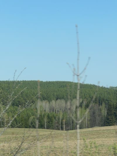 The image, possibly taken from a moving vehicle, depicts a landscape near Oreshniki, Russia. The scene is divided roughly into thirds: the clear blue sky occupies the left portion, a dense forest runs across the middle, and a grassy field is on the right. There is blurring of wires in the foreground indicating motion.