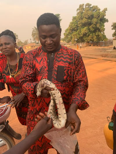 A man in a red and black patterned shirt displays a large snake skin. He holds the skin with two hands, showing its white, ridged interior with black markings. Another person's hands are visible on the right, holding a plastic bag. A woman in a matching shirt stands near the man, and a portion of a motorcycle is visible below. The background includes a tree and a dirt road. The image is slightly tilted.