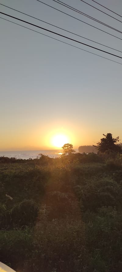 This image depicts a coastal landscape during sunset, with the sun low on the horizon over the ocean. Power lines are visible in the upper portion of the frame, stretching horizontally across the sky. The foreground is dominated by dense vegetation and foliage. In the middle ground, a line of trees and shrubs separates the vegetation from the ocean. The ocean itself appears calm, with gentle waves lapping the shore. The sky transitions from a pale blue at the top to warm orange and yellow hues near the horizon, indicating the setting sun. The location is stated to be Crakmong, Indonesia. No people, actions, or interactions are discernible.
