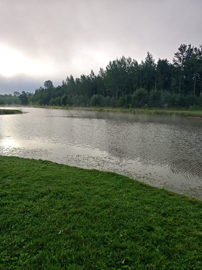 A body of water, likely a lake or river, is bordered by a grassy embankment on the left and a dense line of trees on the right. The sky is overcast and a pale gray, with some hazy sunlight breaking through on the left. The water's surface is rippled, with patches of lily pads and a faint mist rising from it. The grassy area in the foreground is a vibrant green, appearing freshly mowed. The scene suggests a natural, possibly rural, setting. The location in Antāni, Latvia, is not visually identifiable from the image itself.