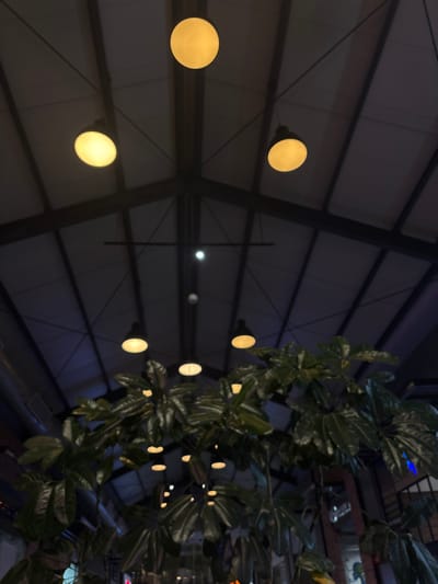 A dark ceiling structure with linear patterns intersected by beams hosts multiple spherical light fixtures. The lights vary in proximity and brightness. Green foliage, possibly a climbing plant, obscures portions of the ceiling and lights on the right side of the image. Some reflections are visible on the ceiling. The scene is dimly lit and creates a sense of depth with the perspective.
