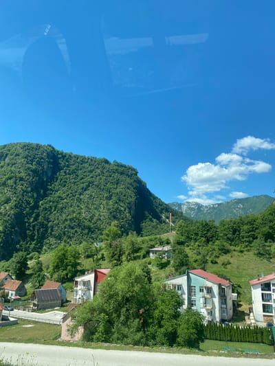 The image captures a scenic view of a small village nestled in a mountainous region. The foreground shows a paved road with a few scattered yellow wildflowers. Beyond the road, several multi-story buildings with red and blue accents are visible, some with balconies. These structures appear to be residential or possibly small apartment buildings. A few trees, including a large, lush green one in the center-right, dot the landscape. Behind the village, steep, verdant mountains rise sharply, covered in dense green foliage. The sky is a clear, bright blue with a few scattered white clouds. The overall impression is a tranquil, rural setting, likely in the city of Šavnik, Montenegro, given the characteristic mountainous terrain and architectural style of the buildings.